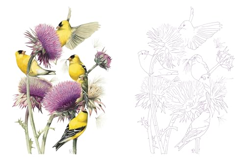 Posh Adult Coloring Book: Inspired by Nature (Posh Coloring Books)