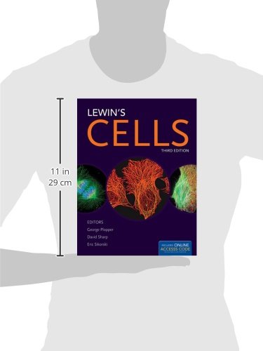 Lewin's CELLS