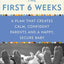 Cherish the First Six Weeks: A Plan that Creates Calm, Confident Parents and a Happy, Secure Baby