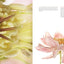 Seeing Flowers: Discover the Hidden Life of Flowers (Seeing Series)