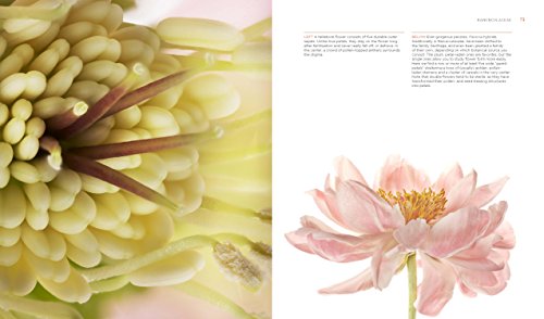 Seeing Flowers: Discover the Hidden Life of Flowers (Seeing Series)