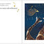 You Are Loved: Welcome Wishes for New Babies by Tillman, Nan