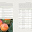 The Fruit Gardener's Bible: A Complete Guide to Growing Fruits and Nuts in the Home Garden