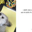 Norbert's Little Lessons for a Big Life