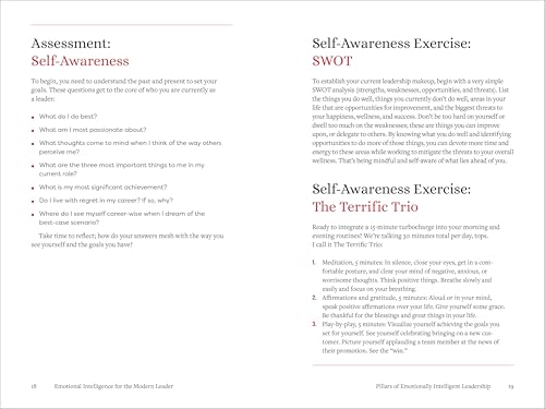 Emotional Intelligence for the Modern Leader: A Guide to Cultivating Effective Leadership and Organizations