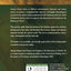 The Israelites: An Introduction (Peoples of the Ancient World)