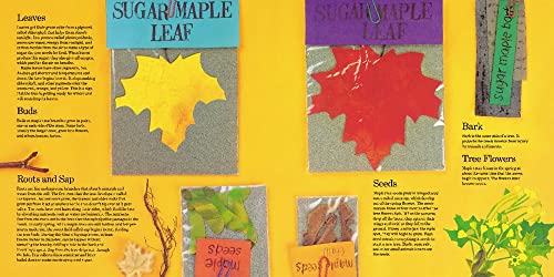 Red Leaf, Yellow Leaf