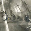 Drawn Across Borders: True Stories of Human Migration