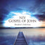 Gospel of John: New International Version, Blue Pier, Reader's Edition