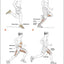 Running Anatomy