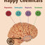 Meet Your Happy Chemicals: Dopamine, Endorphin, Oxytocin, Serotonin