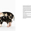 On the Farm: Heritage and Heralded Animal Breeds in Portraits and Stories