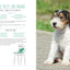 Home Cooking for Your Dog: 75 Holistic Recipes for a Healthier Dog