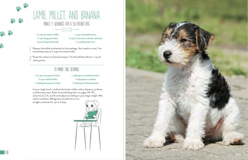 Home Cooking for Your Dog: 75 Holistic Recipes for a Healthier Dog