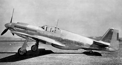 Wings of War: The World War II Fighter Plane that Saved the Allies and the Believers Who Made It Fly