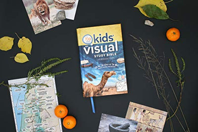 NIV, Kids' Visual Study Bible, Hardcover, Blue, Full Color
