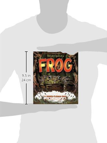 The Life Cycle of a Frog