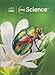Into Science Guide Grade 1