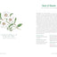 Essential Oils of the Bible: Connecting God's Word to Natura