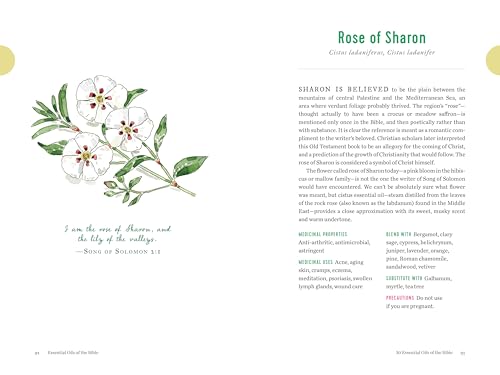 Essential Oils of the Bible: Connecting God's Word to Natura