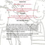 Troublesome Behaviour in the Classroom
