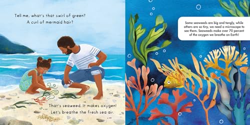 Tell Me About Oceans