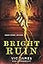 Bright Ruin (Dark Gifts)