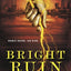 Bright Ruin (Dark Gifts)