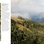 Forests: From the Amazon Rainforest to the Siberian Taiga (Amazing Places Landscape)