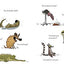 Grumpy Monkey Board Book by Suzanne Lang