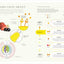 The Science of Flavor: Unlock the Secrets of Flavorful Cooking (The Science of Food)