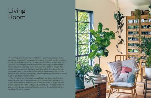 The Plant Parent Guide: Create a beautiful, plant-filled home