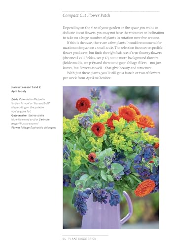 A Year of Cut Flowers: Color and Joy for All Seasons