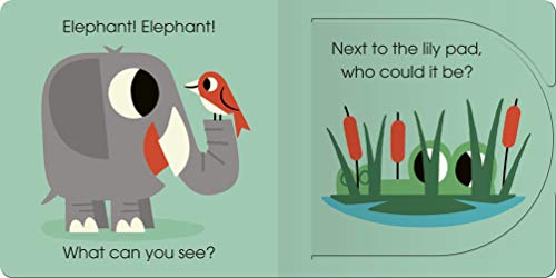 Elephant, Elephant, What Can You See?