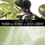 A Harmony of the Words and Works of Jesus Christ: From the New International Version