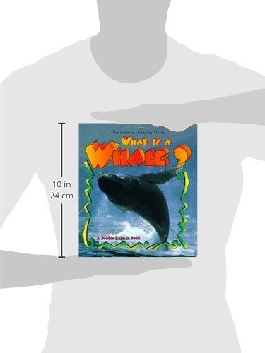What is a Whale? (The Science of Living Things)