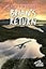 Brian's Return (A Hatchet Adventure)