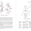 Applied Anatomy of Aerial Arts: An Illustrated Guide to Strength, Flexibility, Training, and Injury Prevention