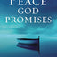 Finding the Peace God Promises: Spiritual Practices to Lead You into Sabbath Rest