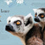 An Anthology of Intriguing Animals: Discover the Fascinating Truths of the Animal Kingdom