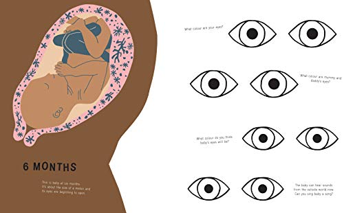 The New Baby Revised Edition: An activity book for soon-to-be big brothers and sisters