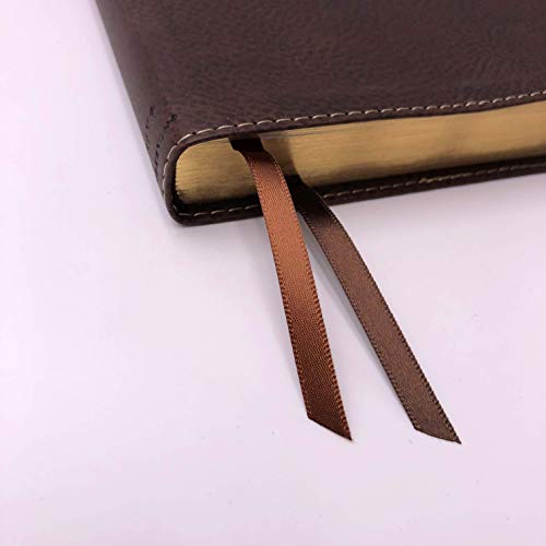 NRSV, Thinline Reference Bible, Large Print, Leathersoft, Brown, Comfort Print