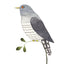 Our Garden Birds