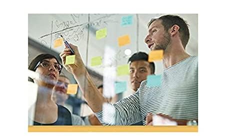 Contemporary Project Management (MindTap Course List)
