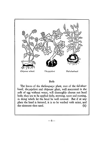 An Aztec Herbal: The Classic Codex of 1552