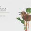 Tits, Boobies and Loons: ARE ORNITHOLOGISTS OK? 2022's funny new bird identification book, the humorous guide to spotting ornithology's most weird and wonderful birds
