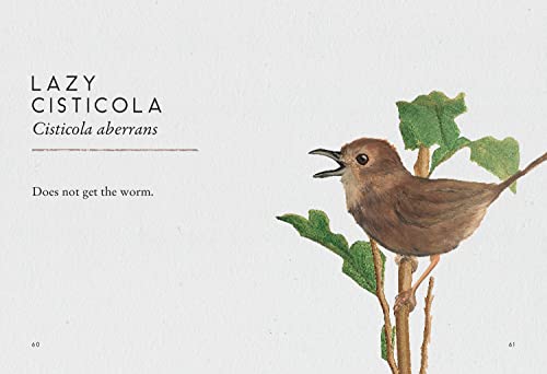 Tits, Boobies and Loons: ARE ORNITHOLOGISTS OK? 2022's funny new bird identification book, the humorous guide to spotting ornithology's most weird and wonderful birds