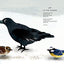 Sing a Song of Seasons: A Nature Poem for Each Day of the Ye