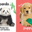 Adorable Animals - Touch and Feel Board Book - Sensory Board Book