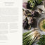 A Kitchen in Italy: A Year of Family Meals and Celebrations from Our Home